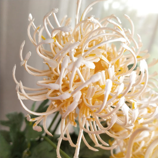 3D print Golden Chrysanthemum needle pad flower