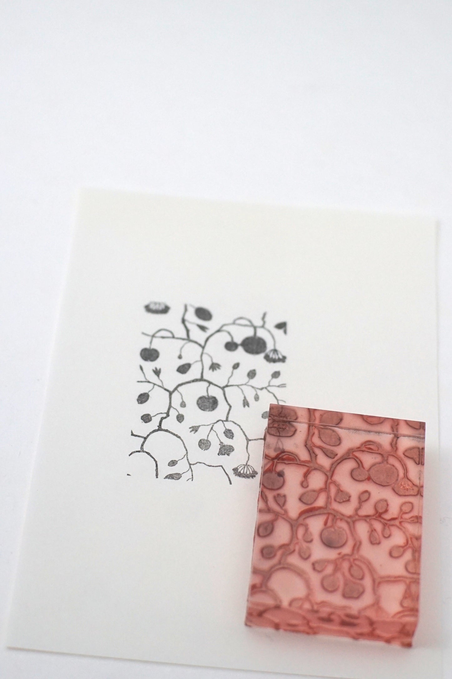 Berry Vine Botanical Stamp