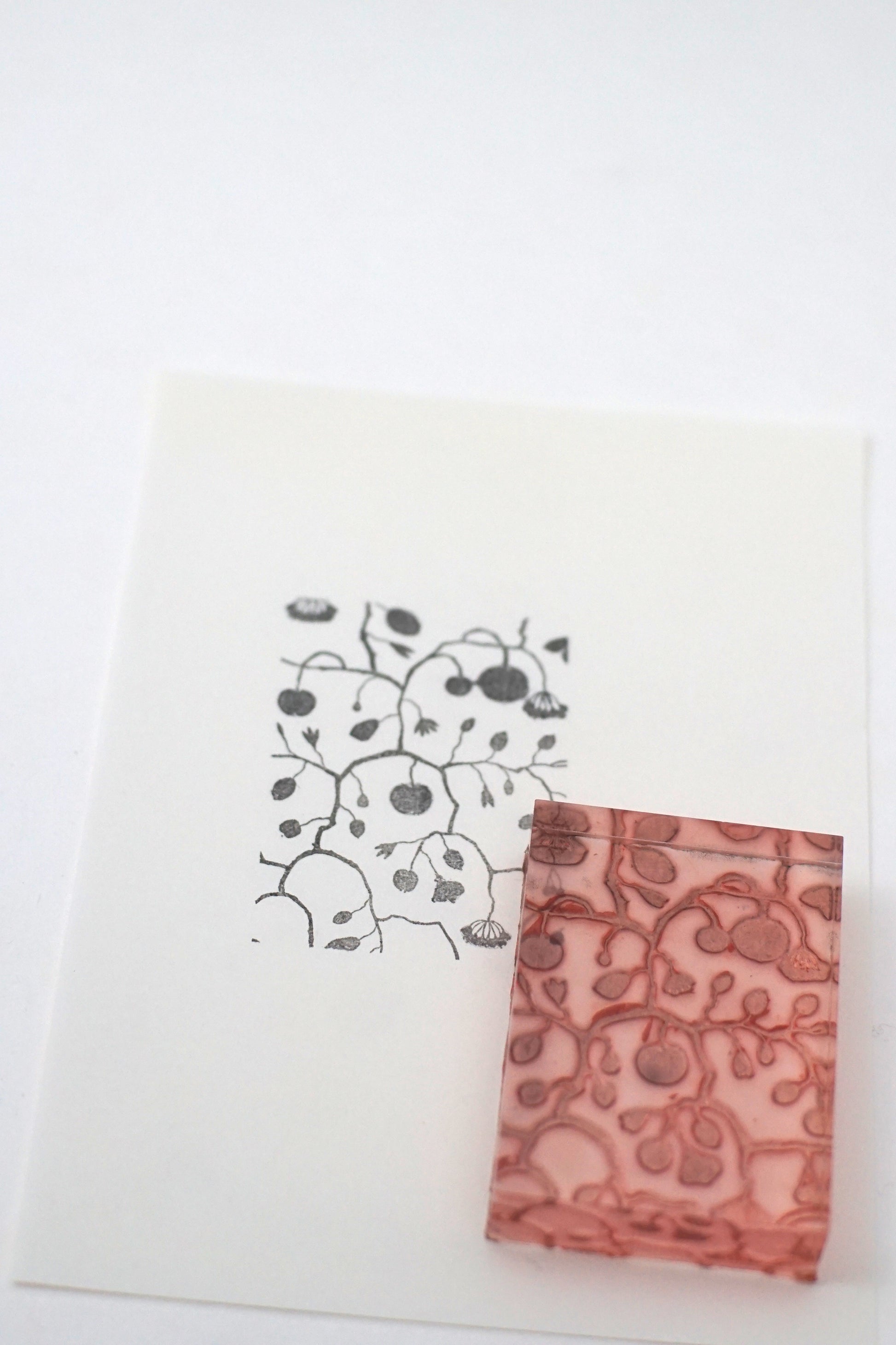 Berry Vine Botanical Stamp