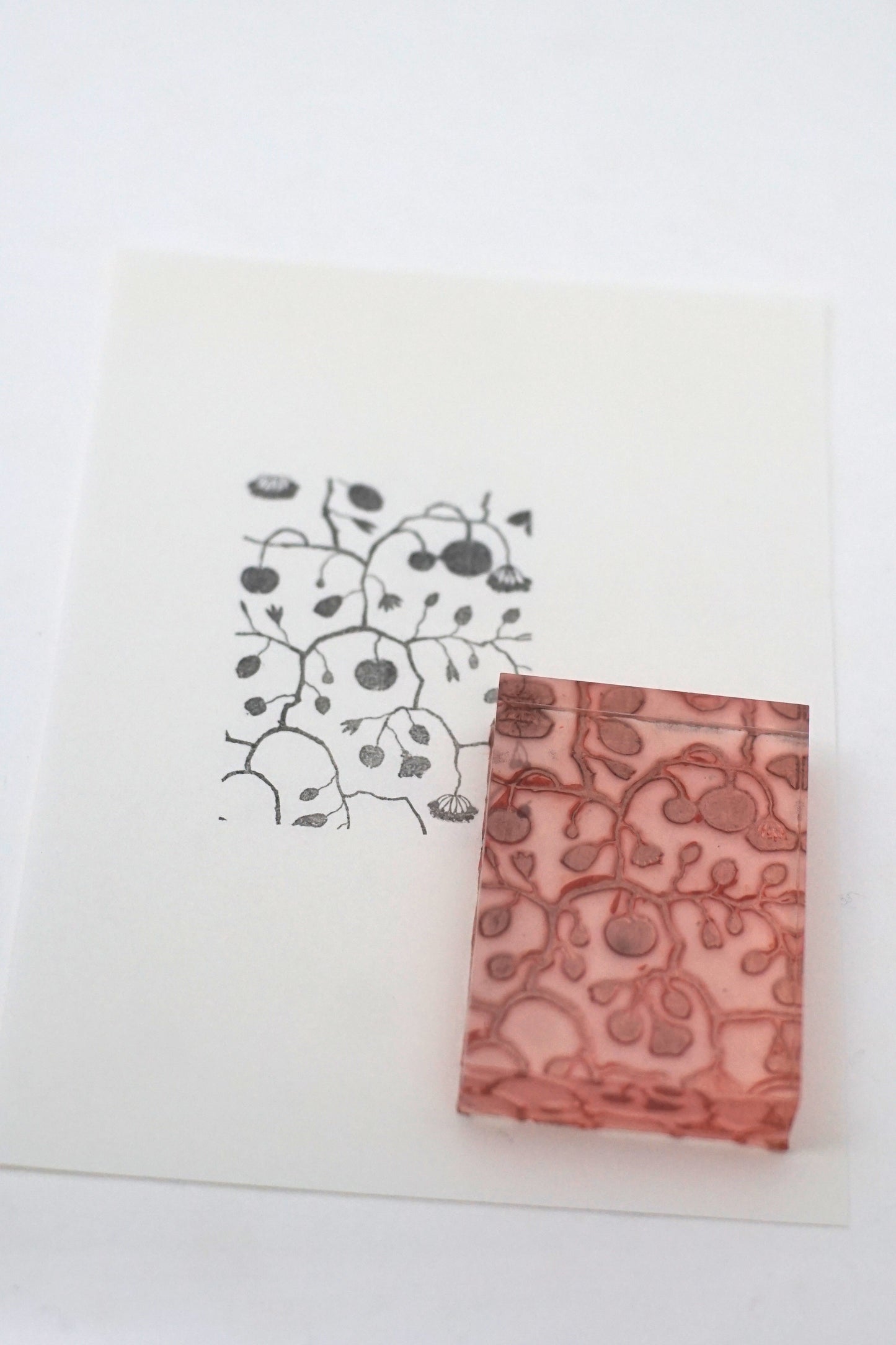 Berry Vine Botanical Stamp