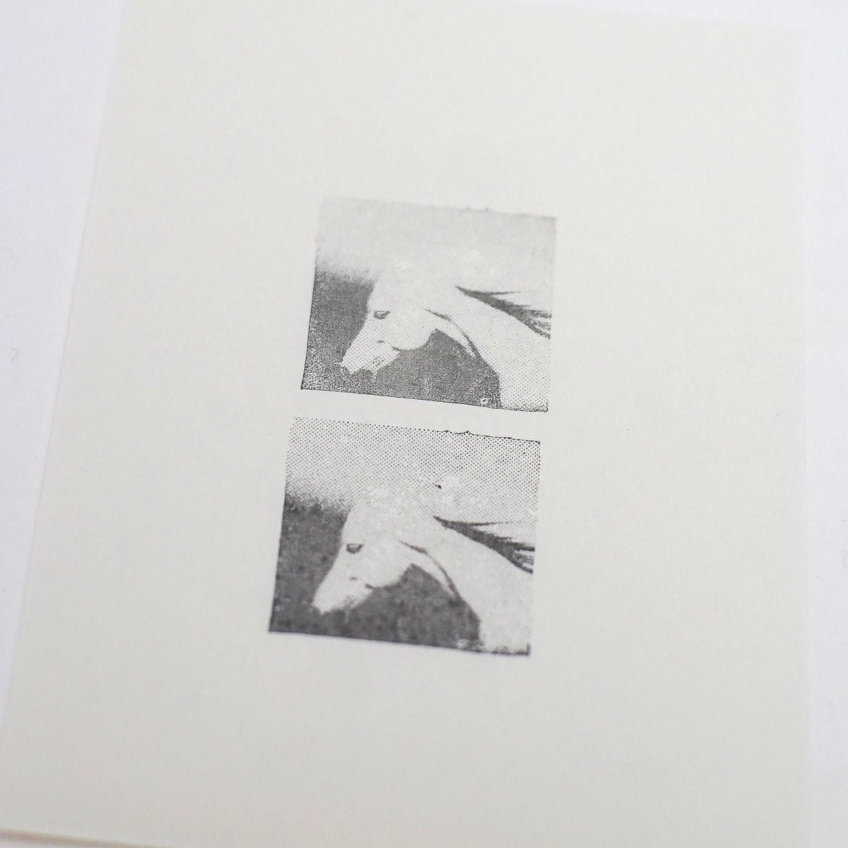 Halftone Horse Head Photo Stamp