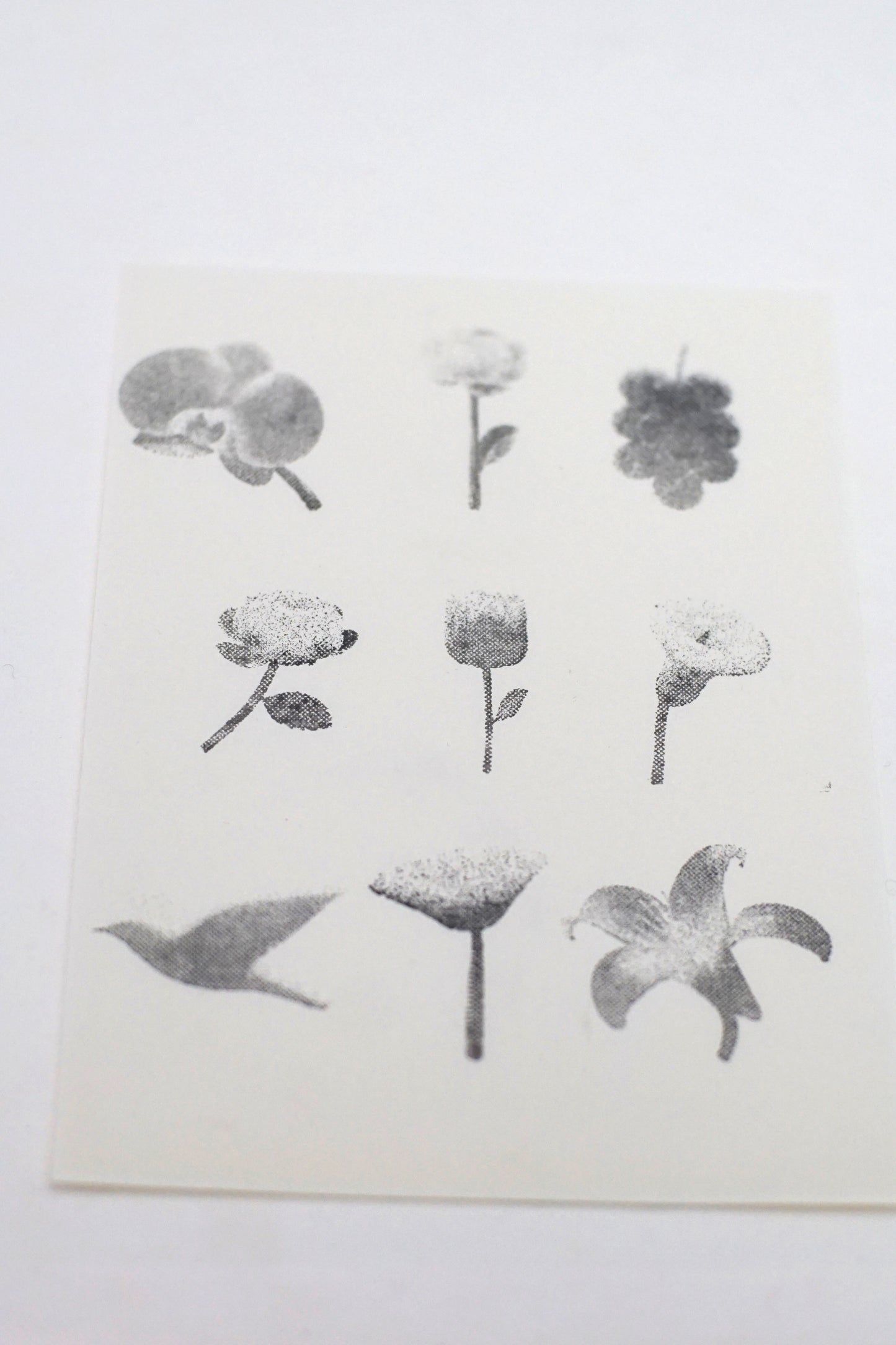 Halftone Floral Specimen Stamp Set (9 Motifs)