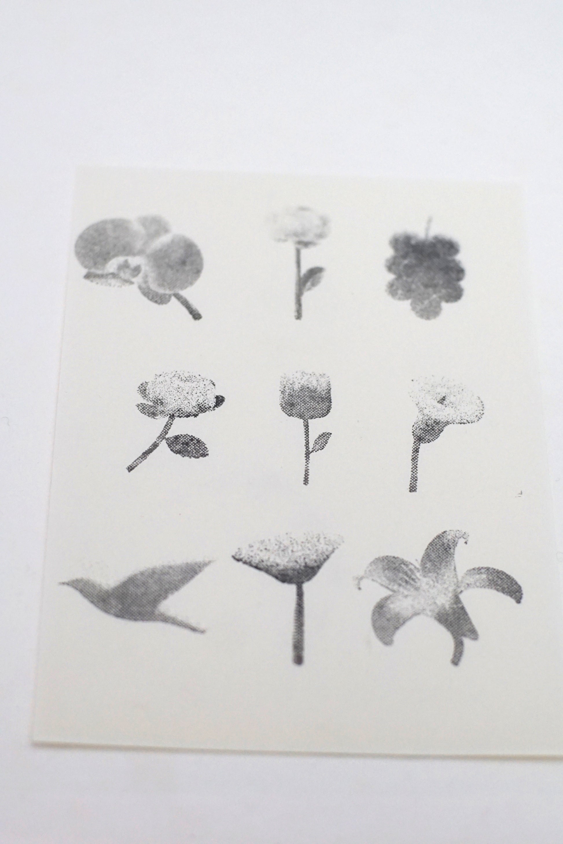 Halftone Floral Specimen Stamp Set (9 Motifs)