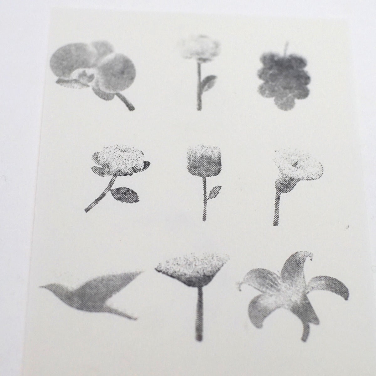 Halftone Floral Specimen Stamp Set (9 Motifs)