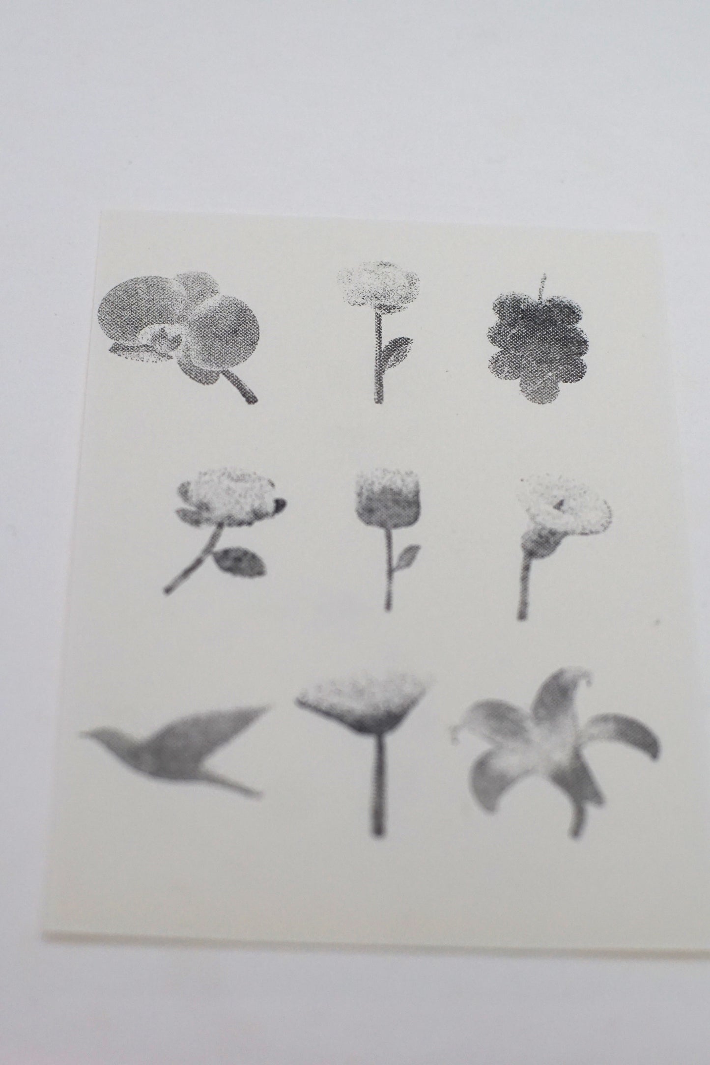 Halftone Floral Specimen Stamp Set (9 Motifs)