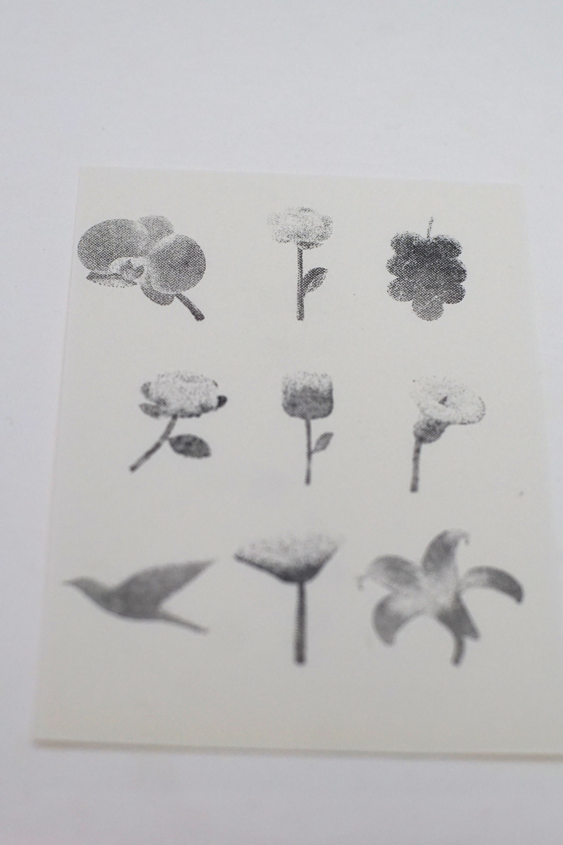 Halftone Floral Specimen Stamp Set (9 Motifs)