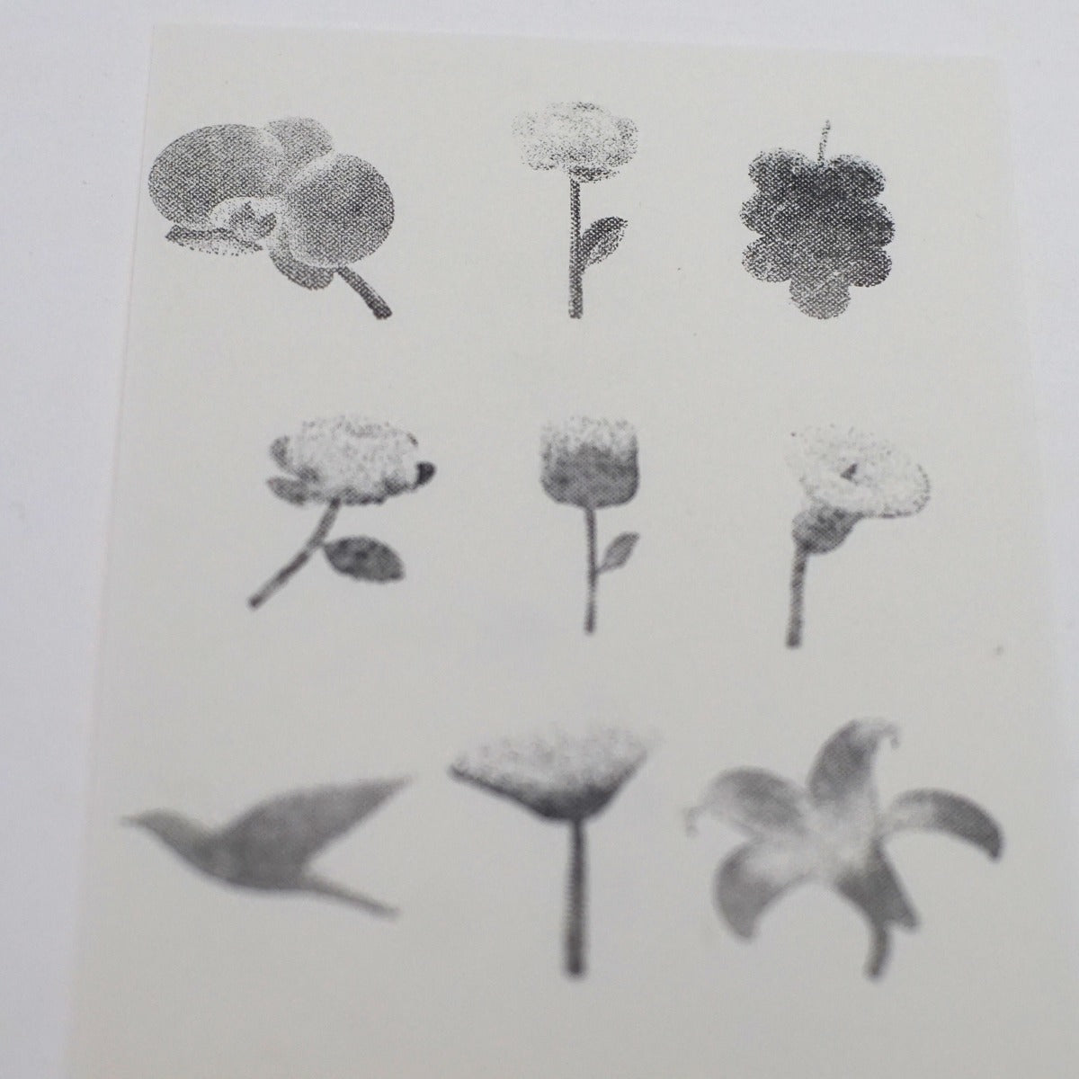Halftone Floral Specimen Stamp Set (9 Motifs)
