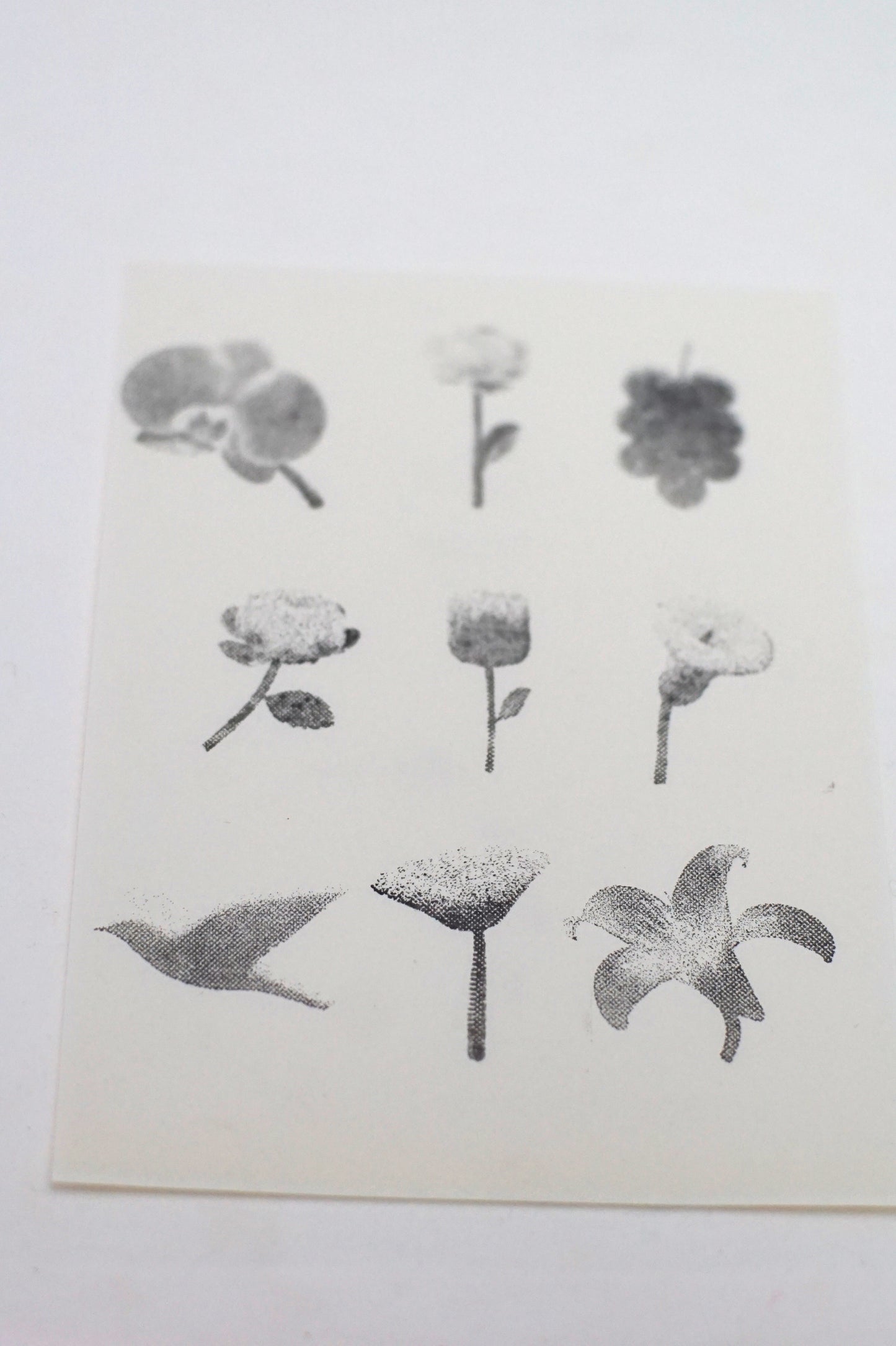 Halftone Floral Specimen Stamp Set (9 Motifs)