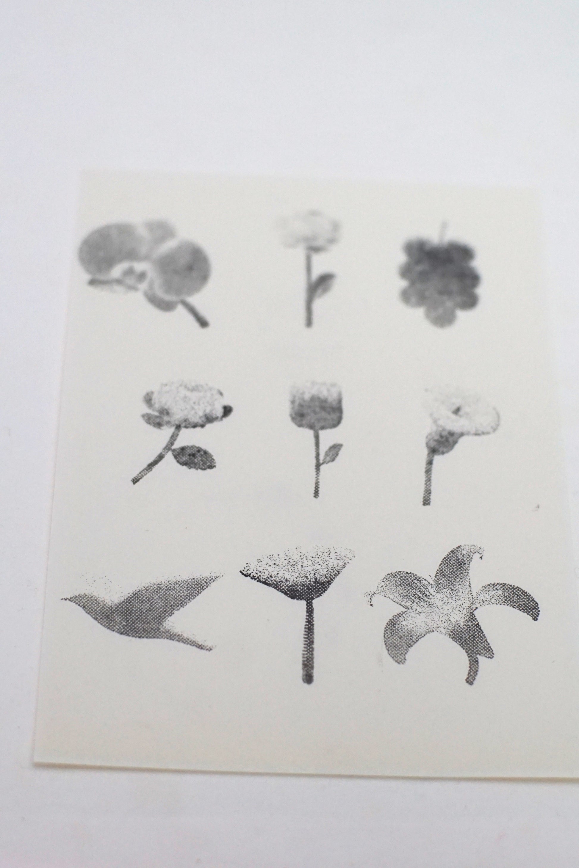 Halftone Floral Specimen Stamp Set (9 Motifs)