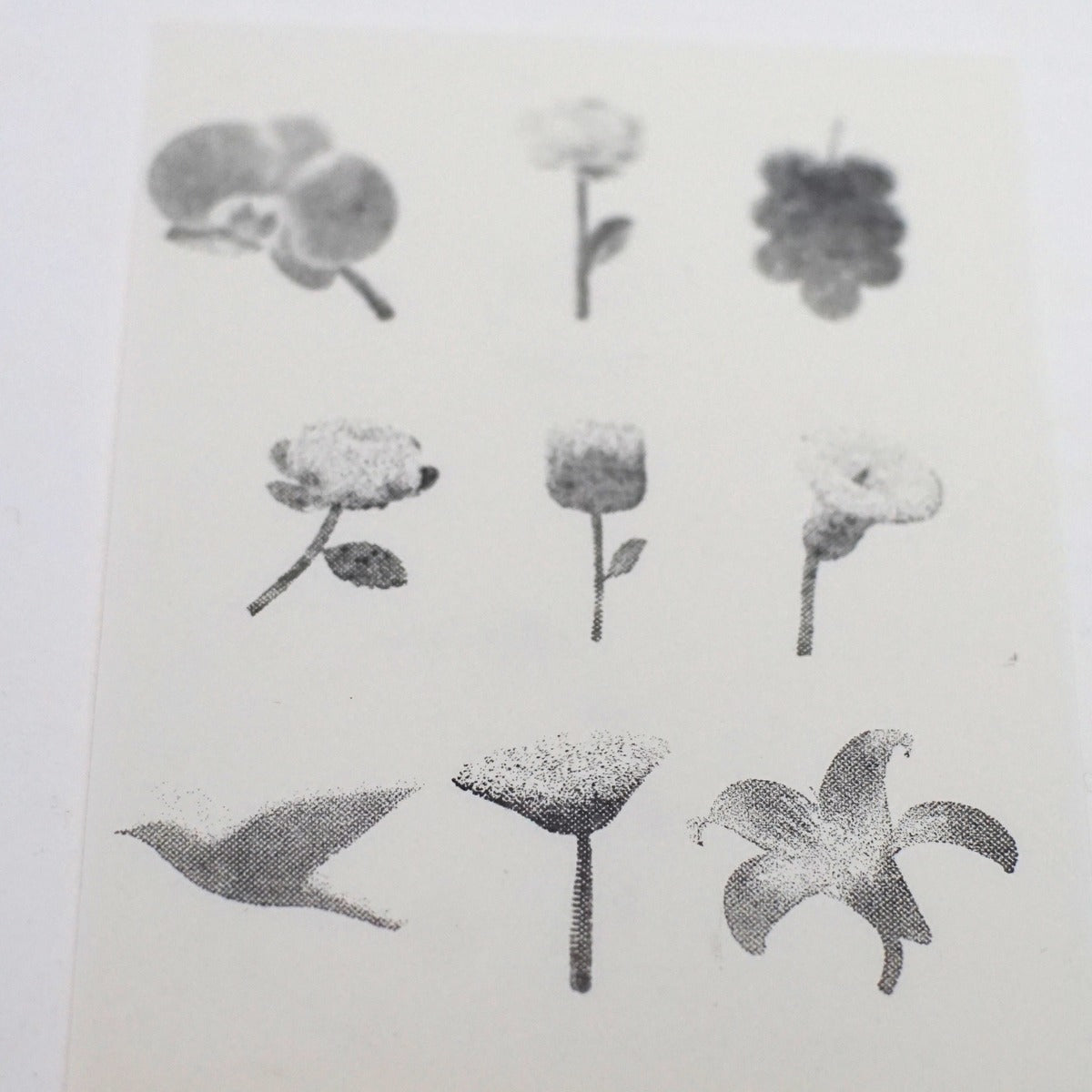 Halftone Floral Specimen Stamp Set (9 Motifs)