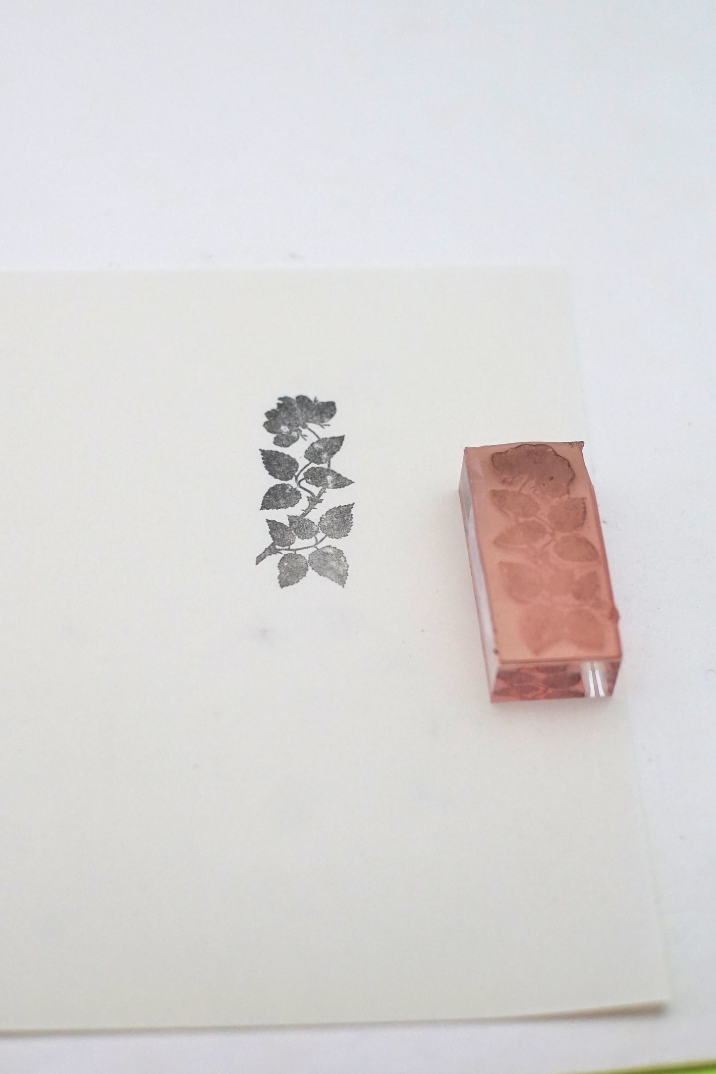 Rose Branch Stamp