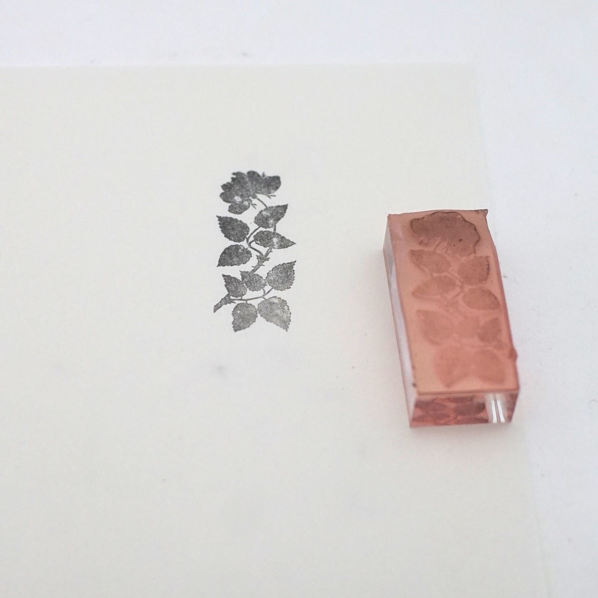 Rose Branch Stamp
