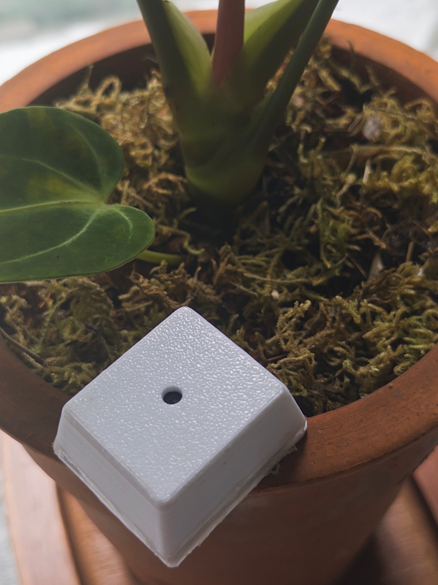 Plant Light Sensor · LUX Meter (Agent-Readable Data)