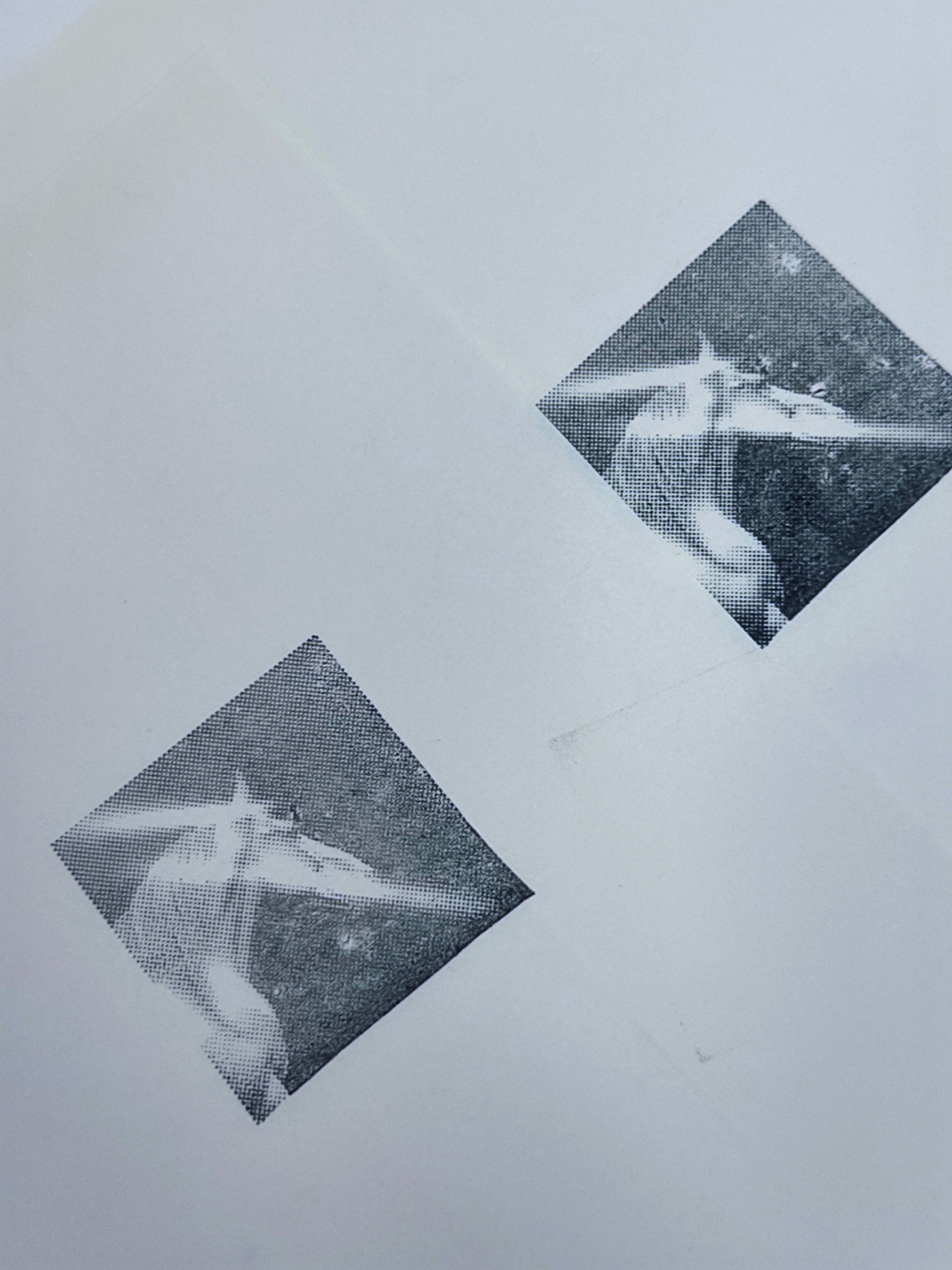 Halftone Unicorn Photo Stamp