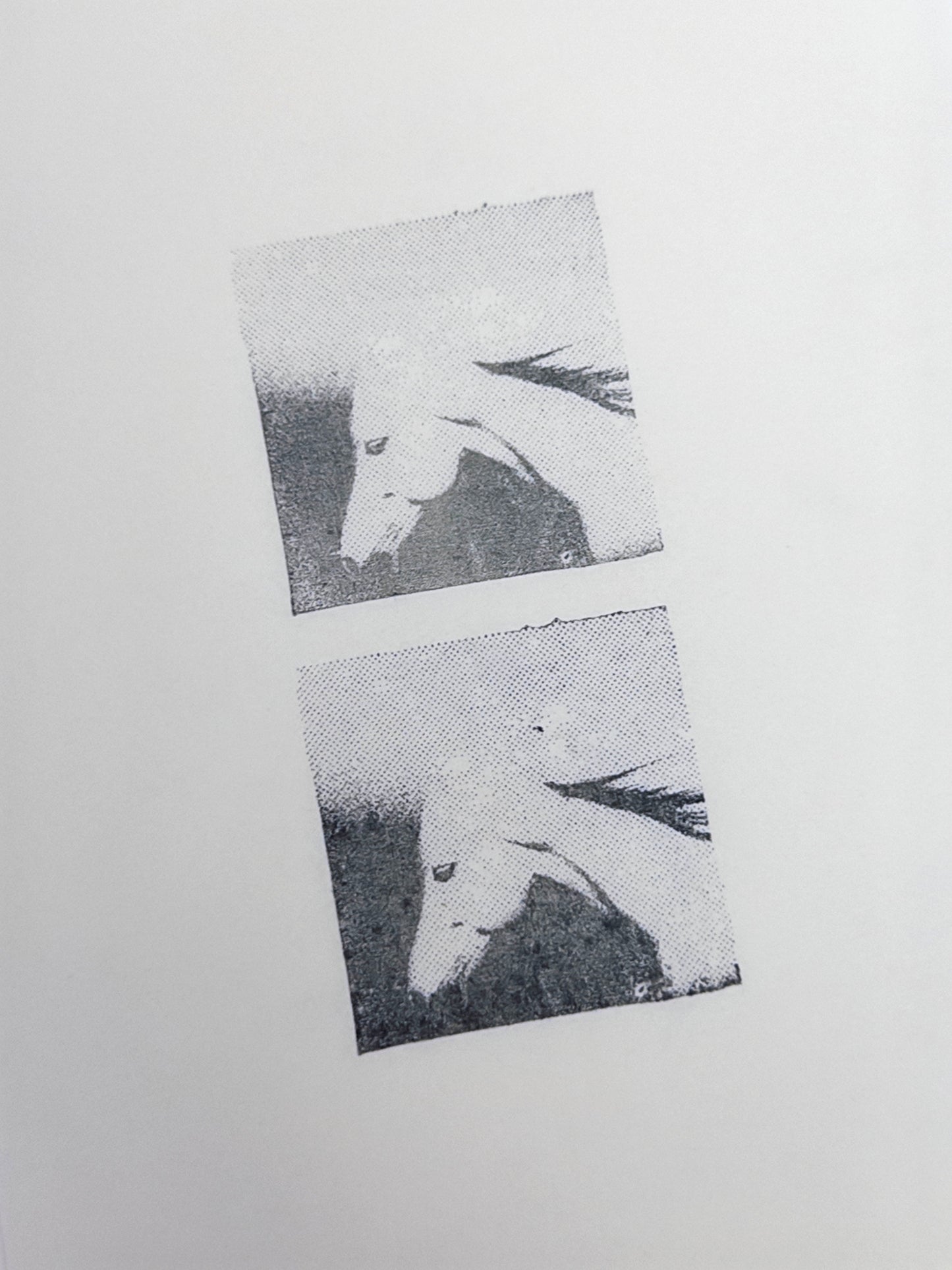 Halftone Horse Head Photo Stamp