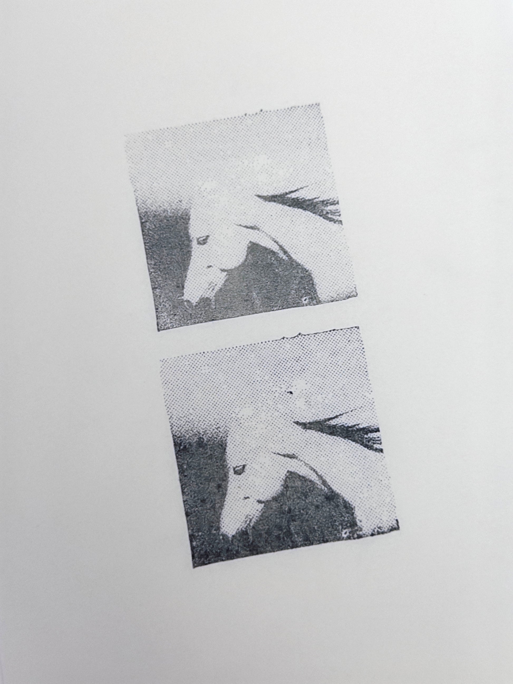 Halftone Horse Head Photo Stamp