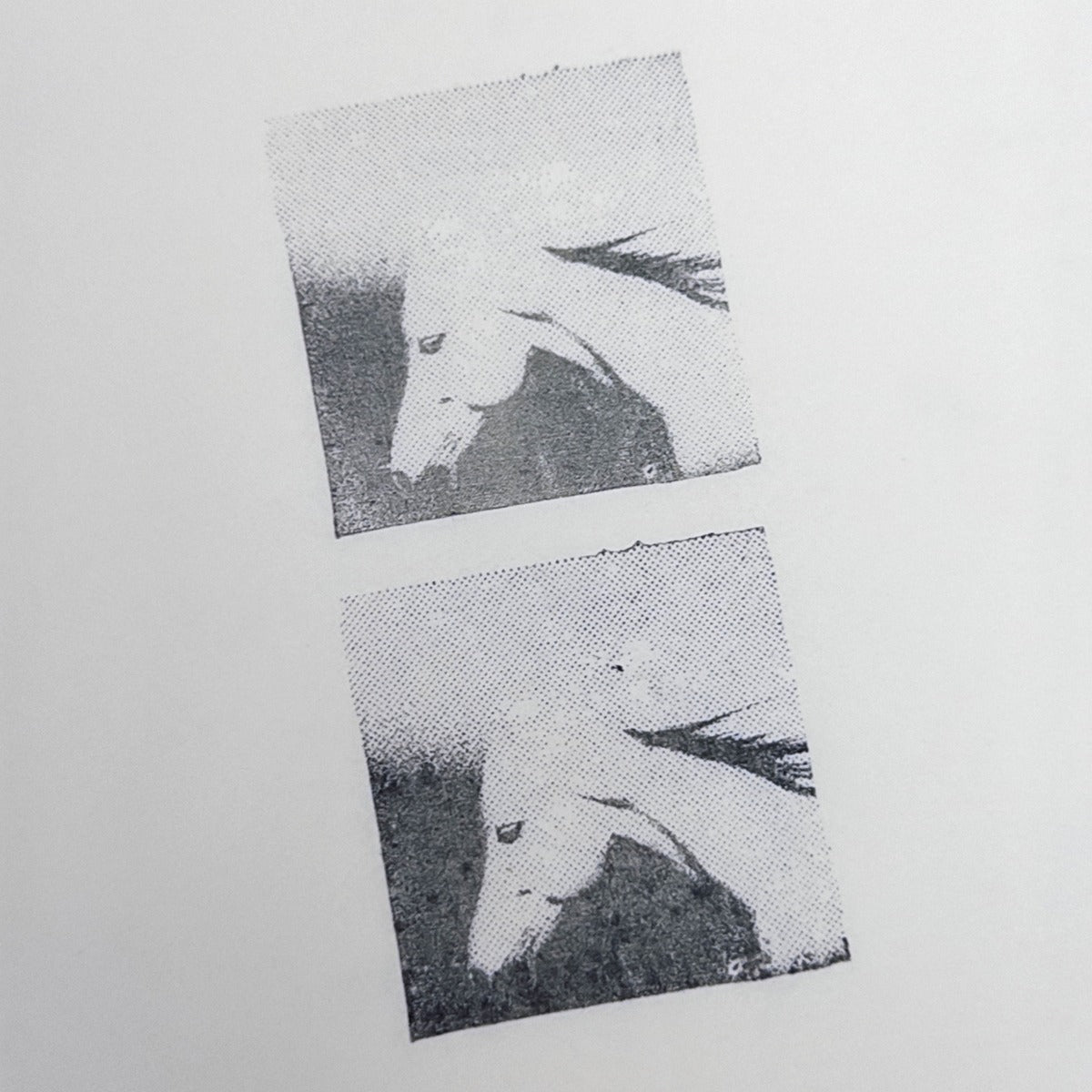 Halftone Horse Head Photo Stamp