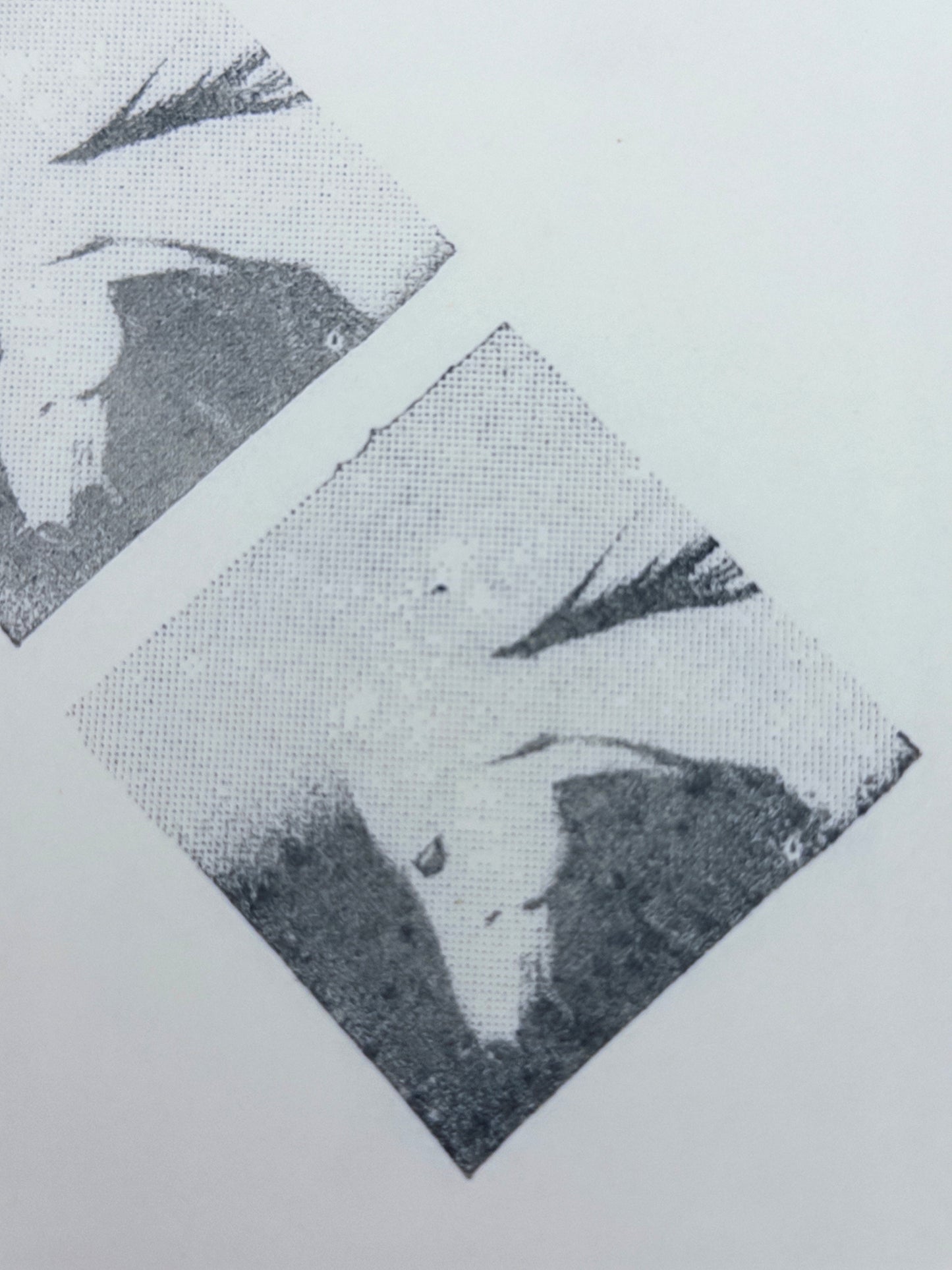 Halftone Horse Head Photo Stamp