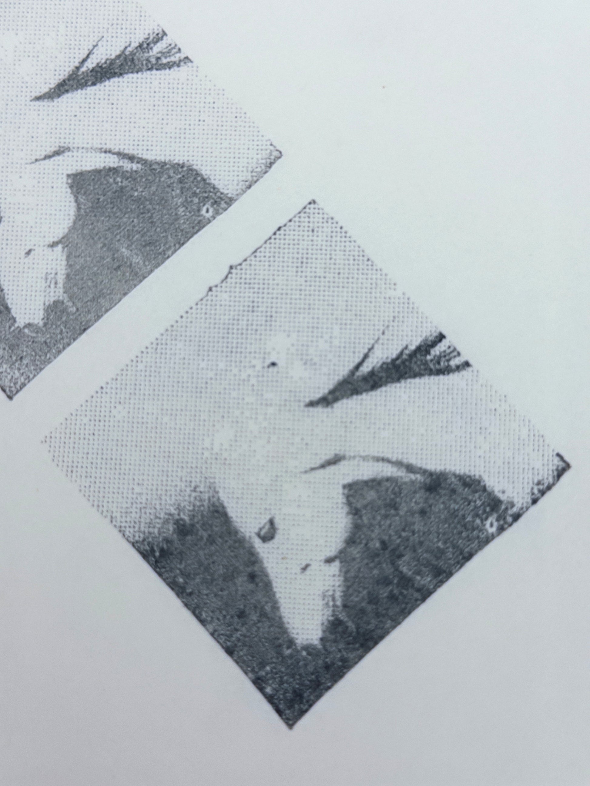 Halftone Horse Head Photo Stamp