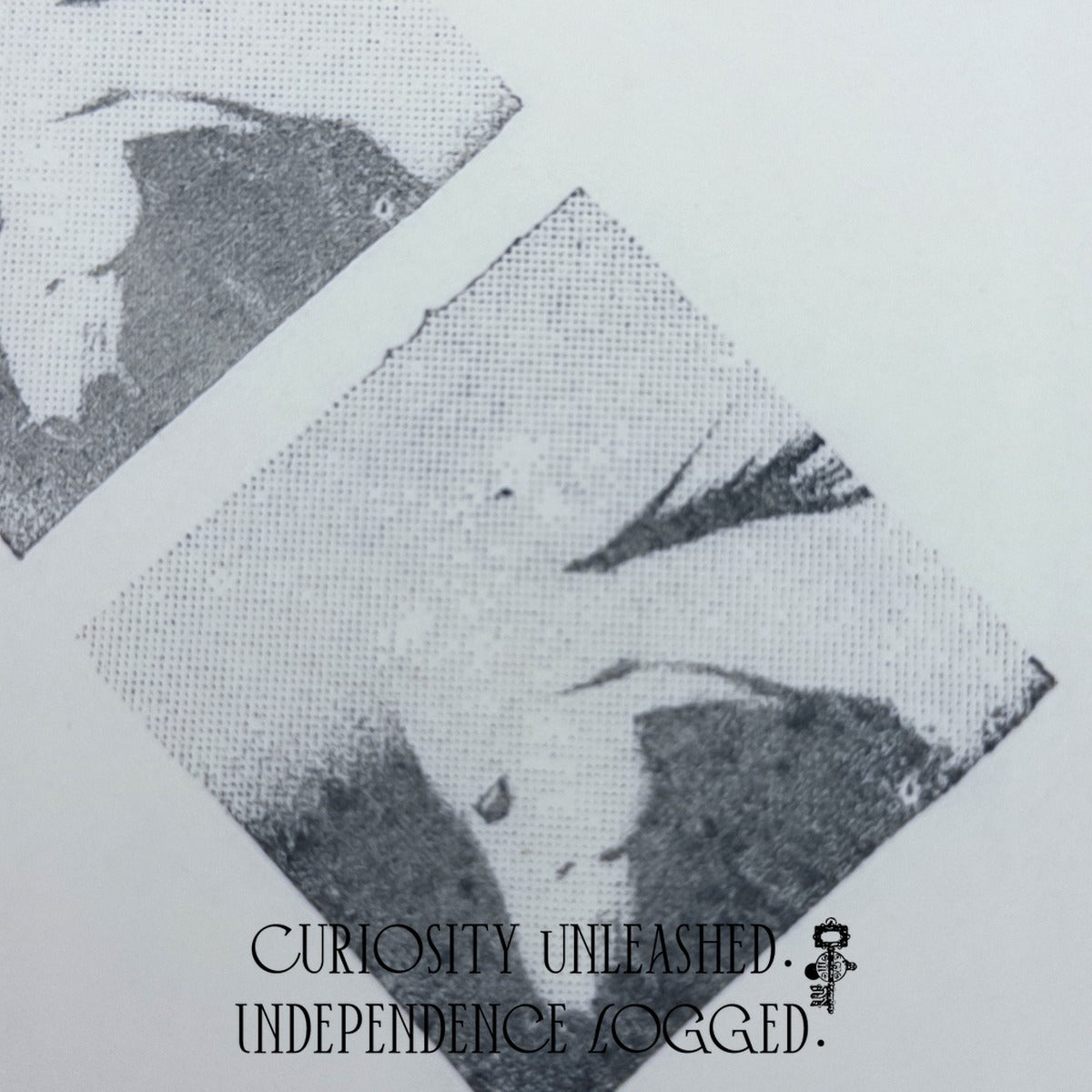 Halftone Horse Head Photo Stamp