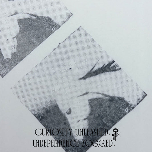 Halftone Horse Head Photo Stamp