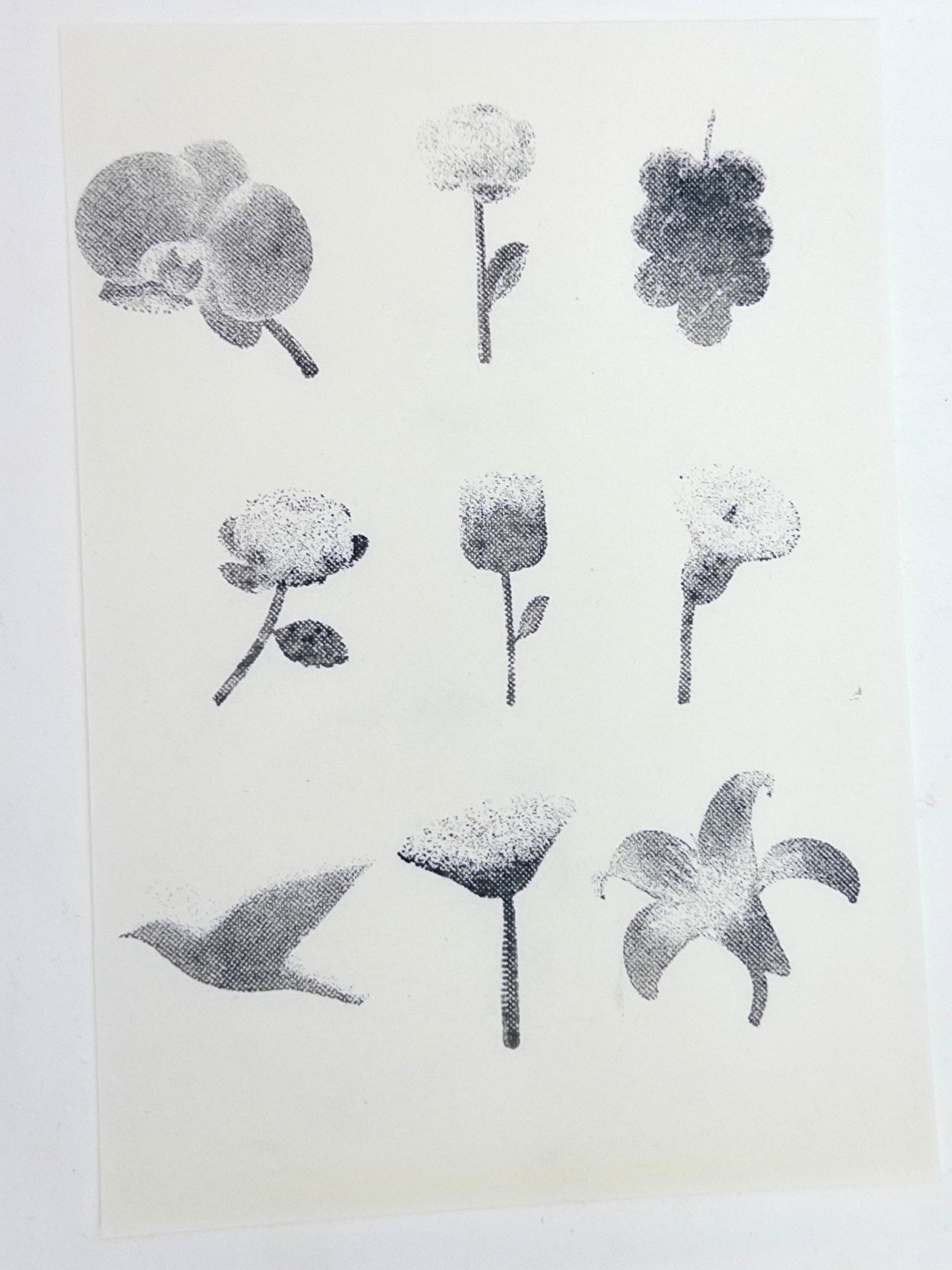 Halftone Floral Specimen Stamp Set (9 Motifs)