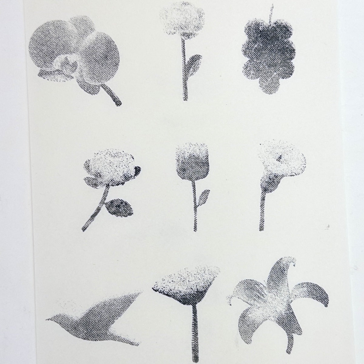 Halftone Floral Specimen Stamp Set (9 Motifs)