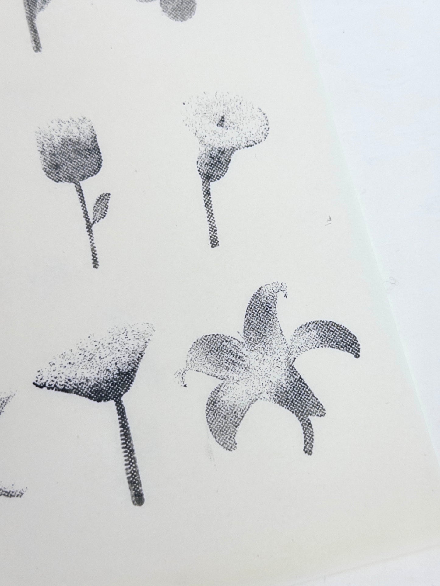Halftone Floral Specimen Stamp Set (9 Motifs)