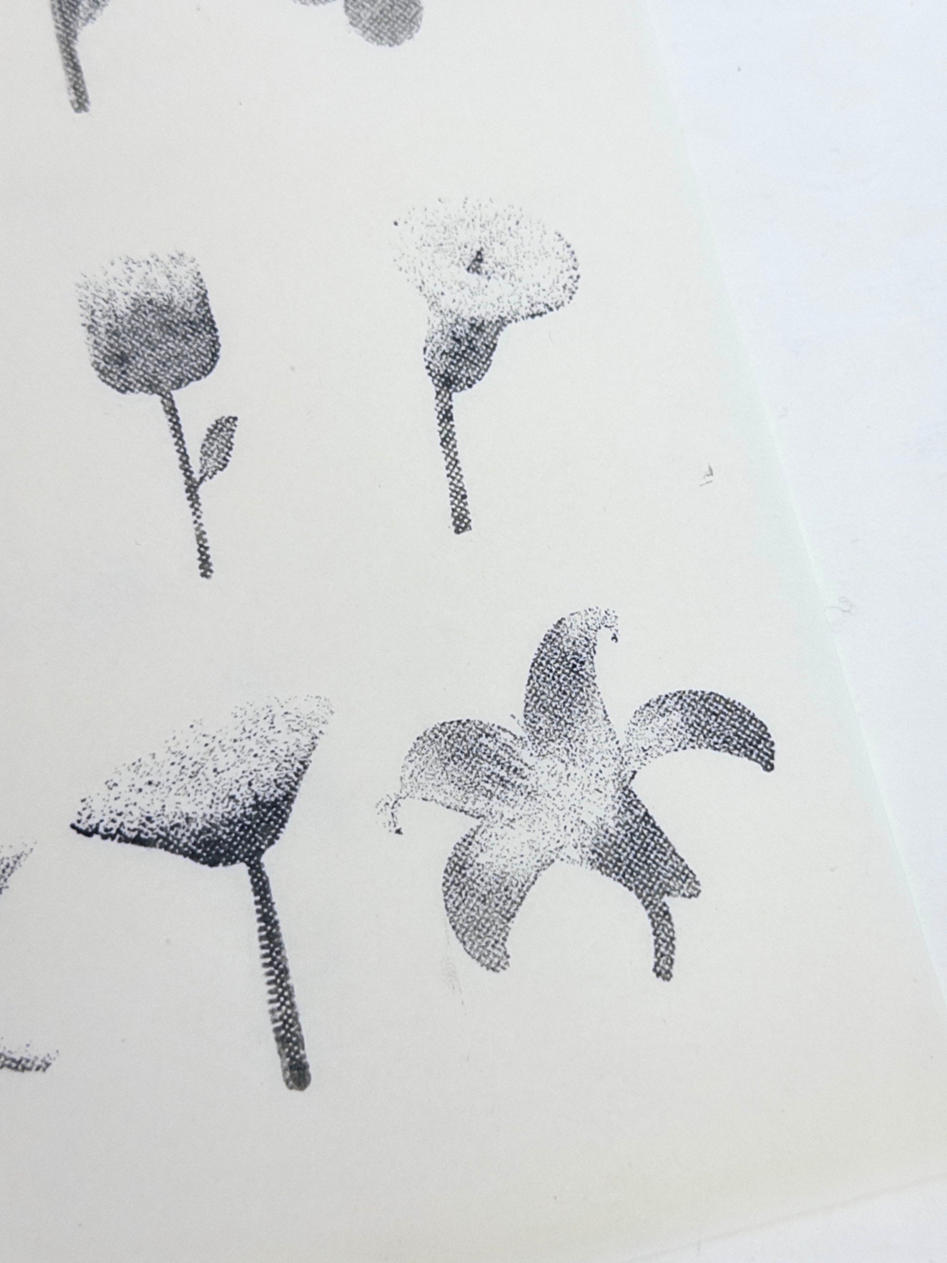 Halftone Floral Specimen Stamp Set (9 Motifs)