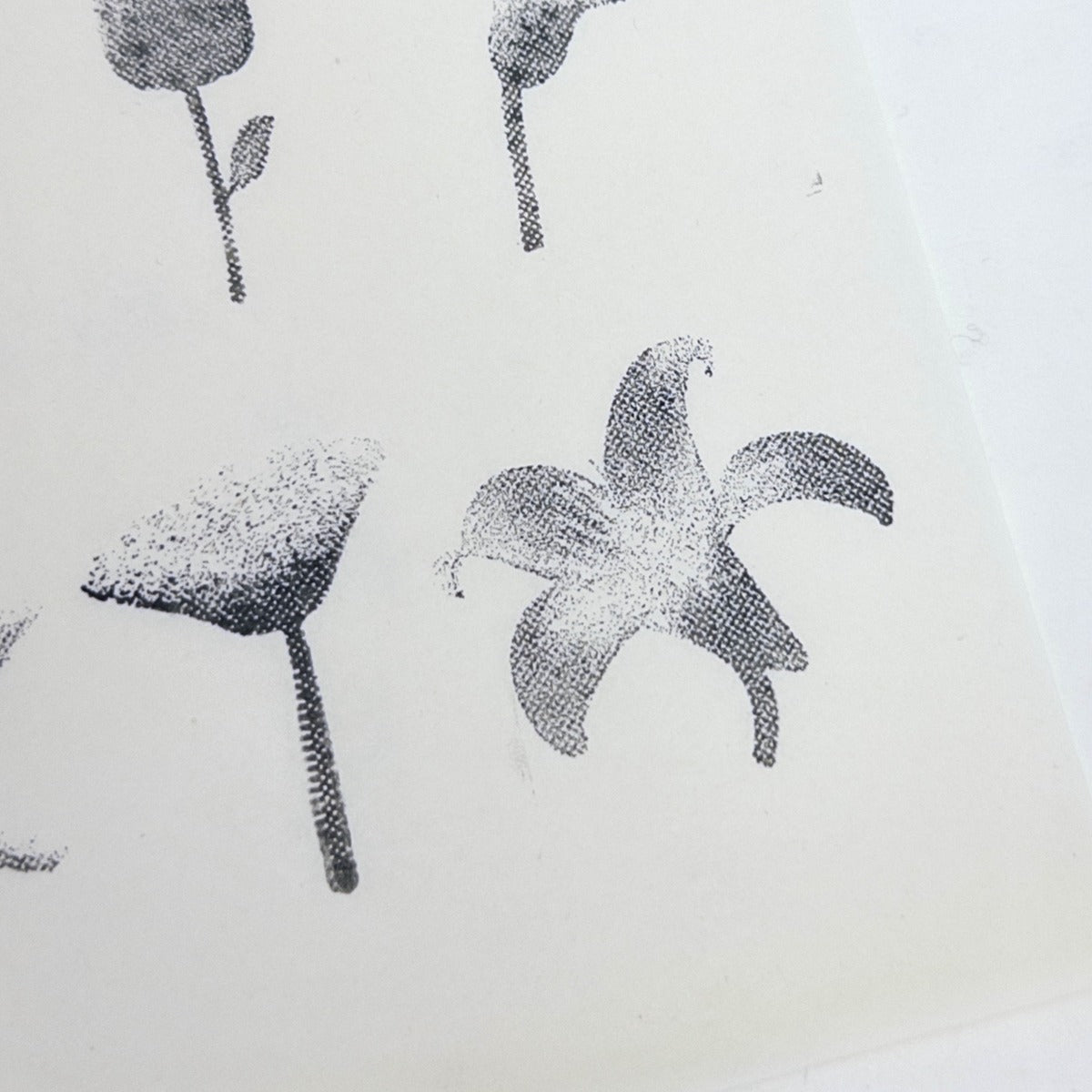 Halftone Floral Specimen Stamp Set (9 Motifs)