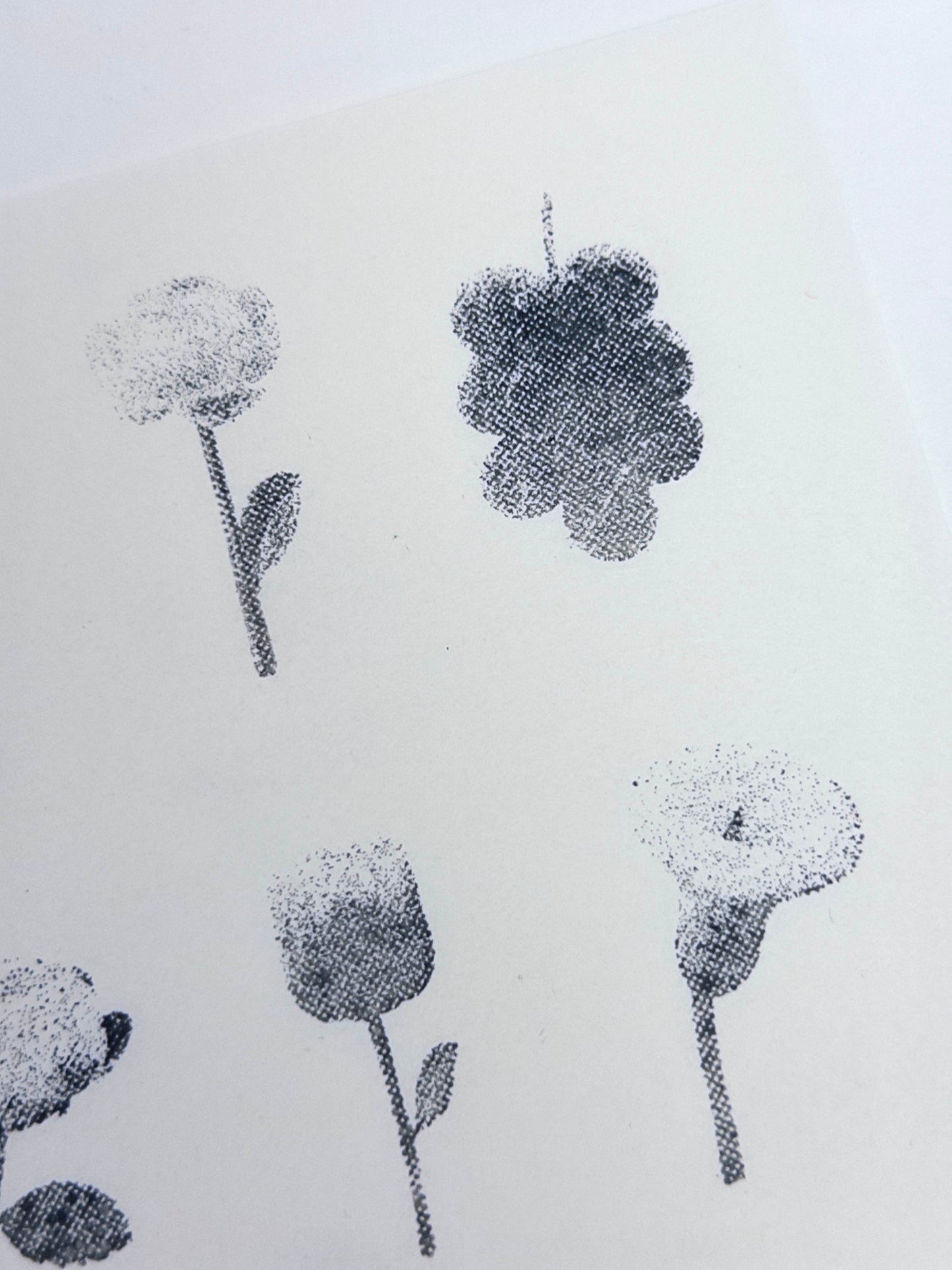 Halftone Floral Specimen Stamp Set (9 Motifs)