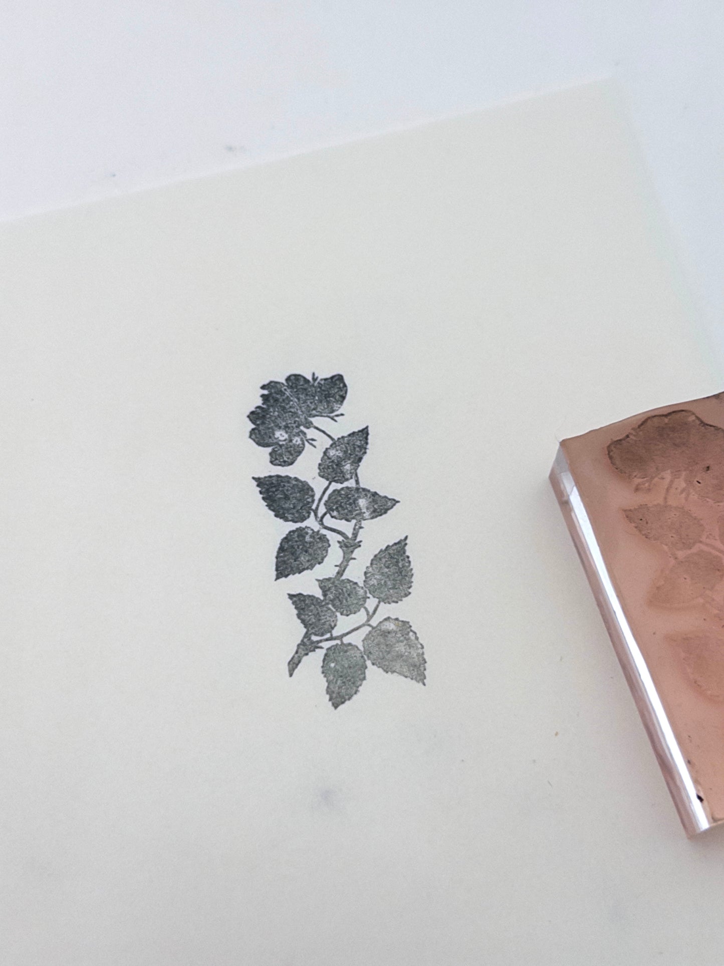 Rose Branch Stamp