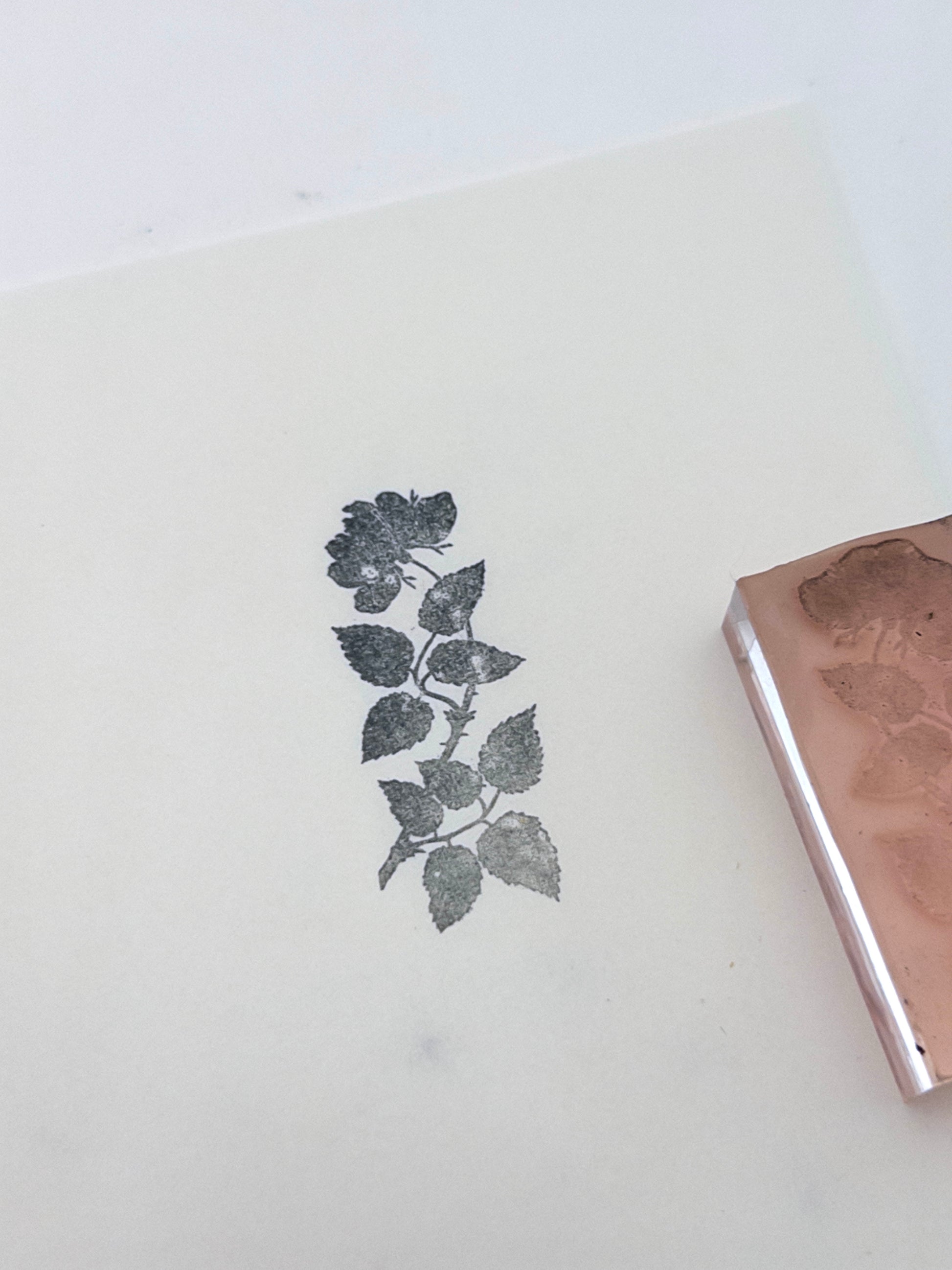Rose Branch Stamp