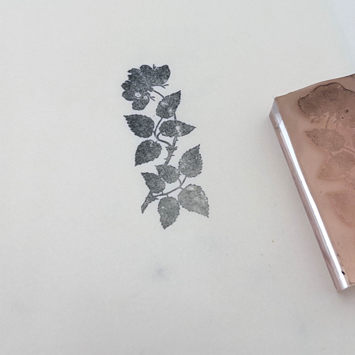 Rose Branch Stamp