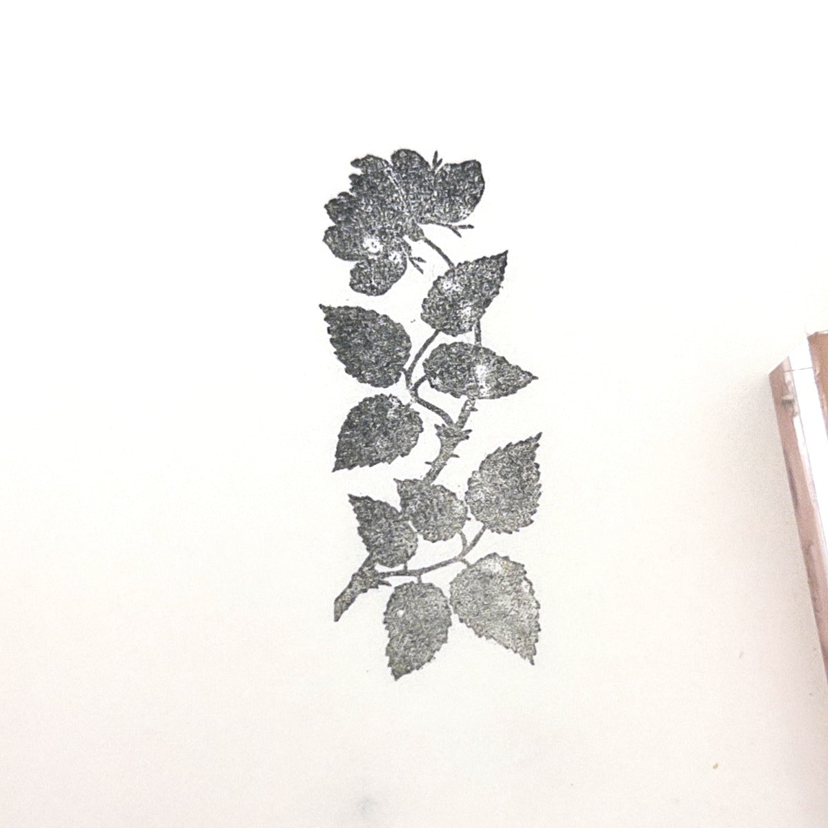 Rose Branch Stamp