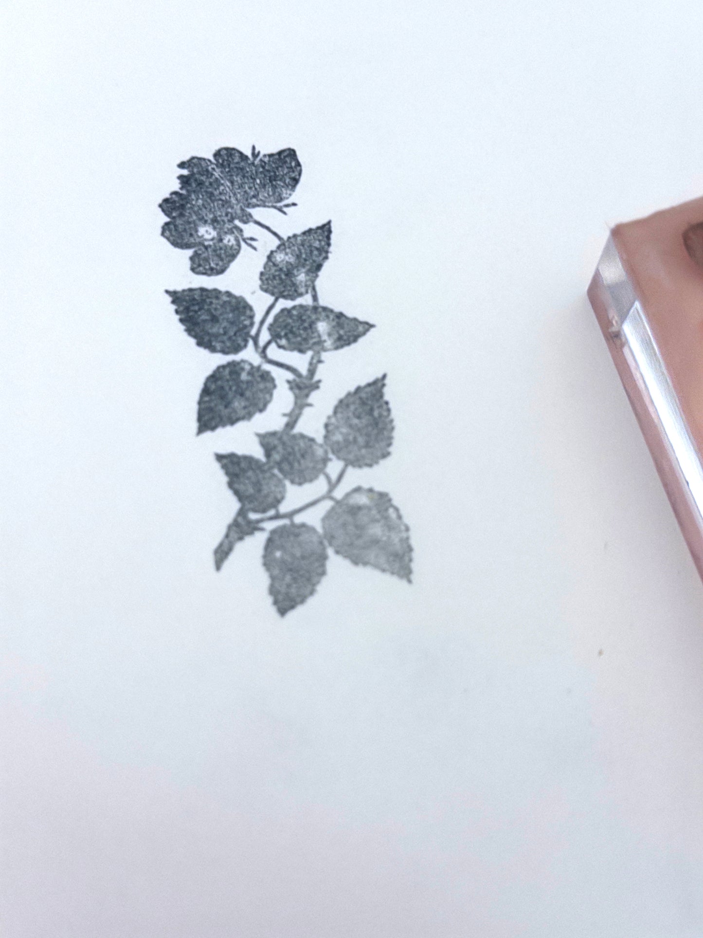 Rose Branch Stamp