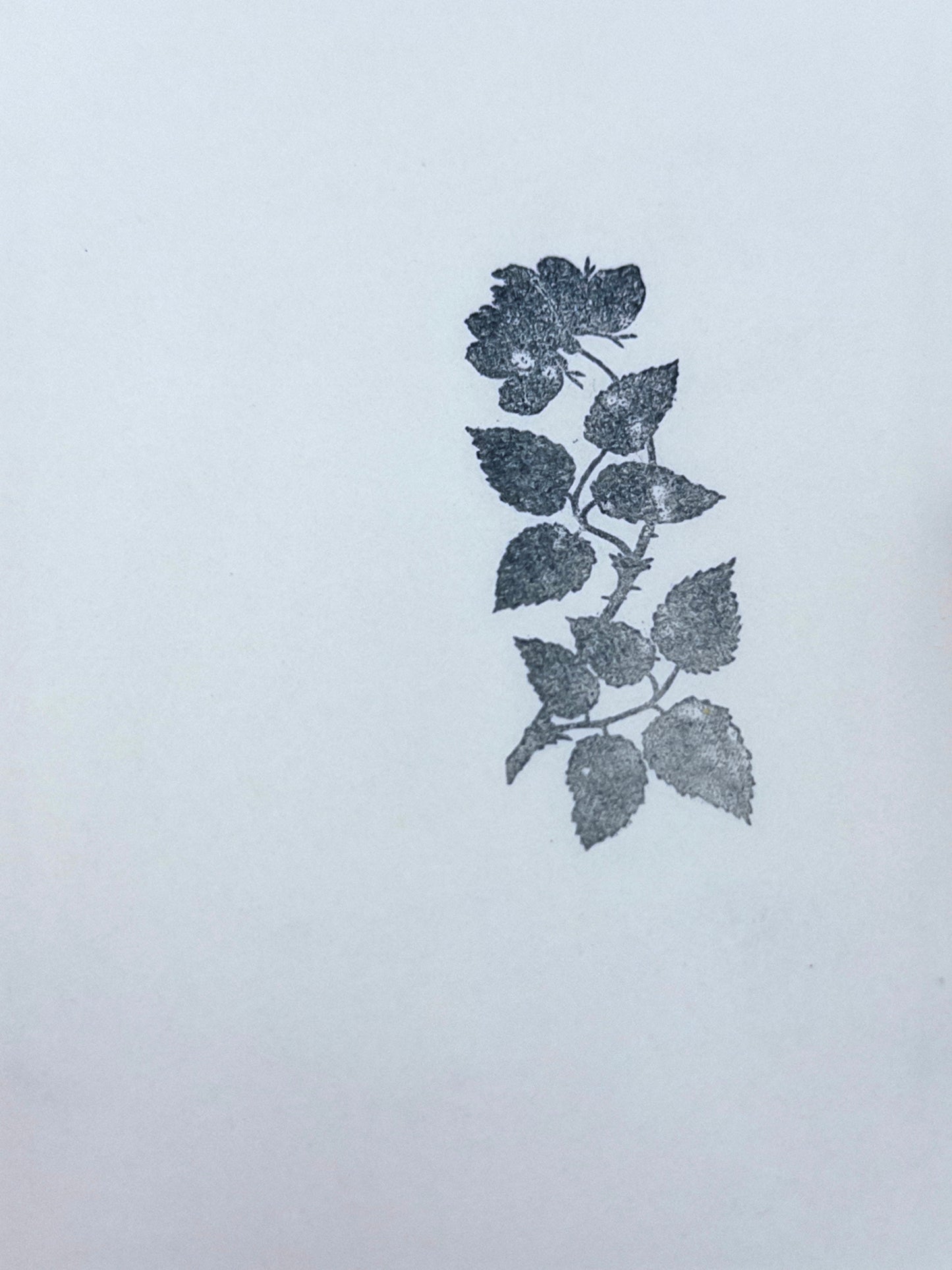 Rose Branch Stamp