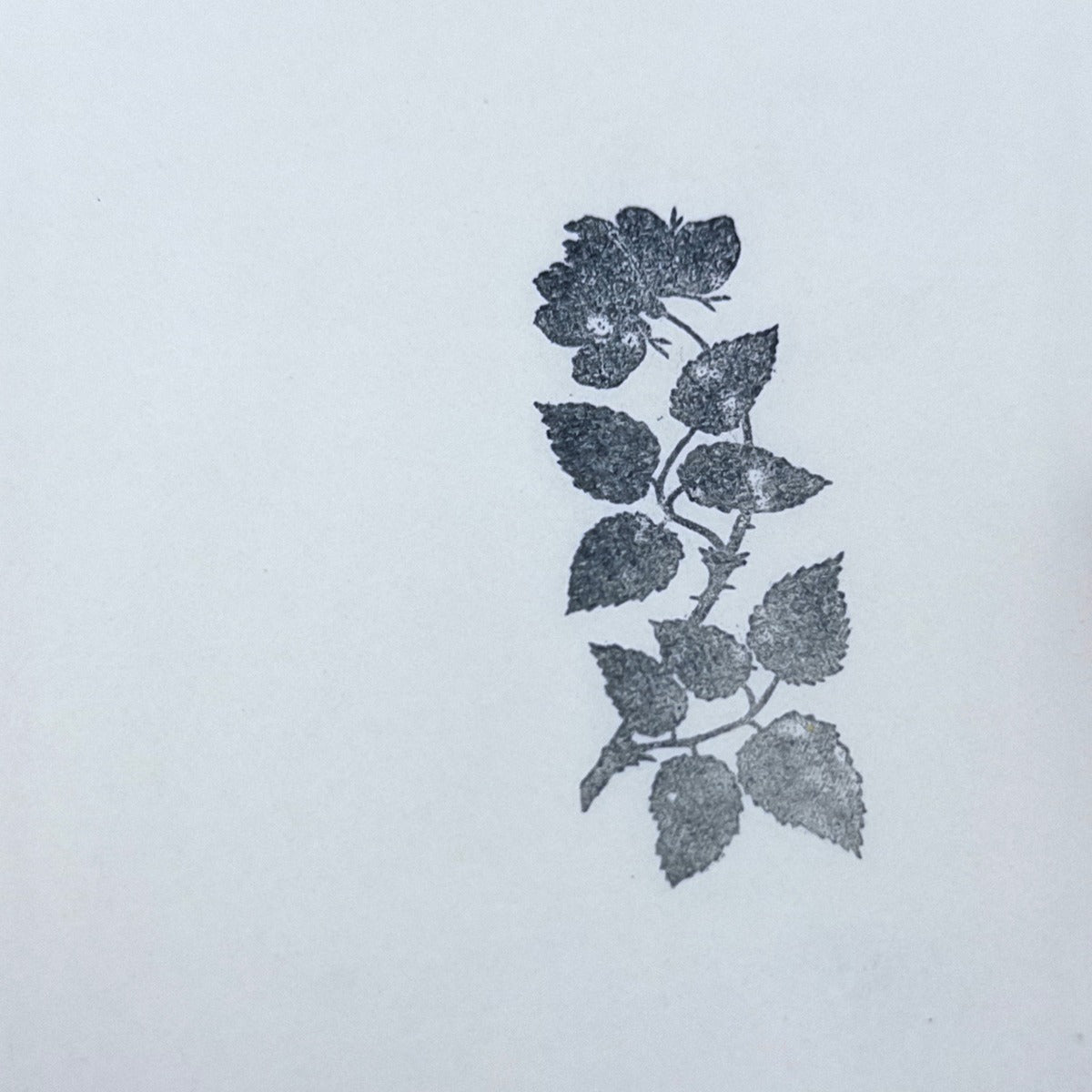Rose Branch Stamp