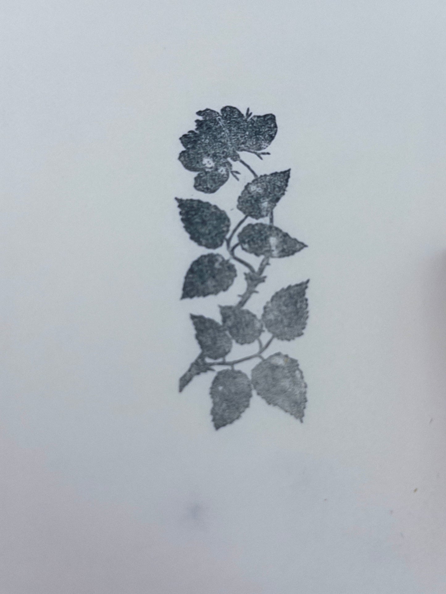 Rose Branch Stamp