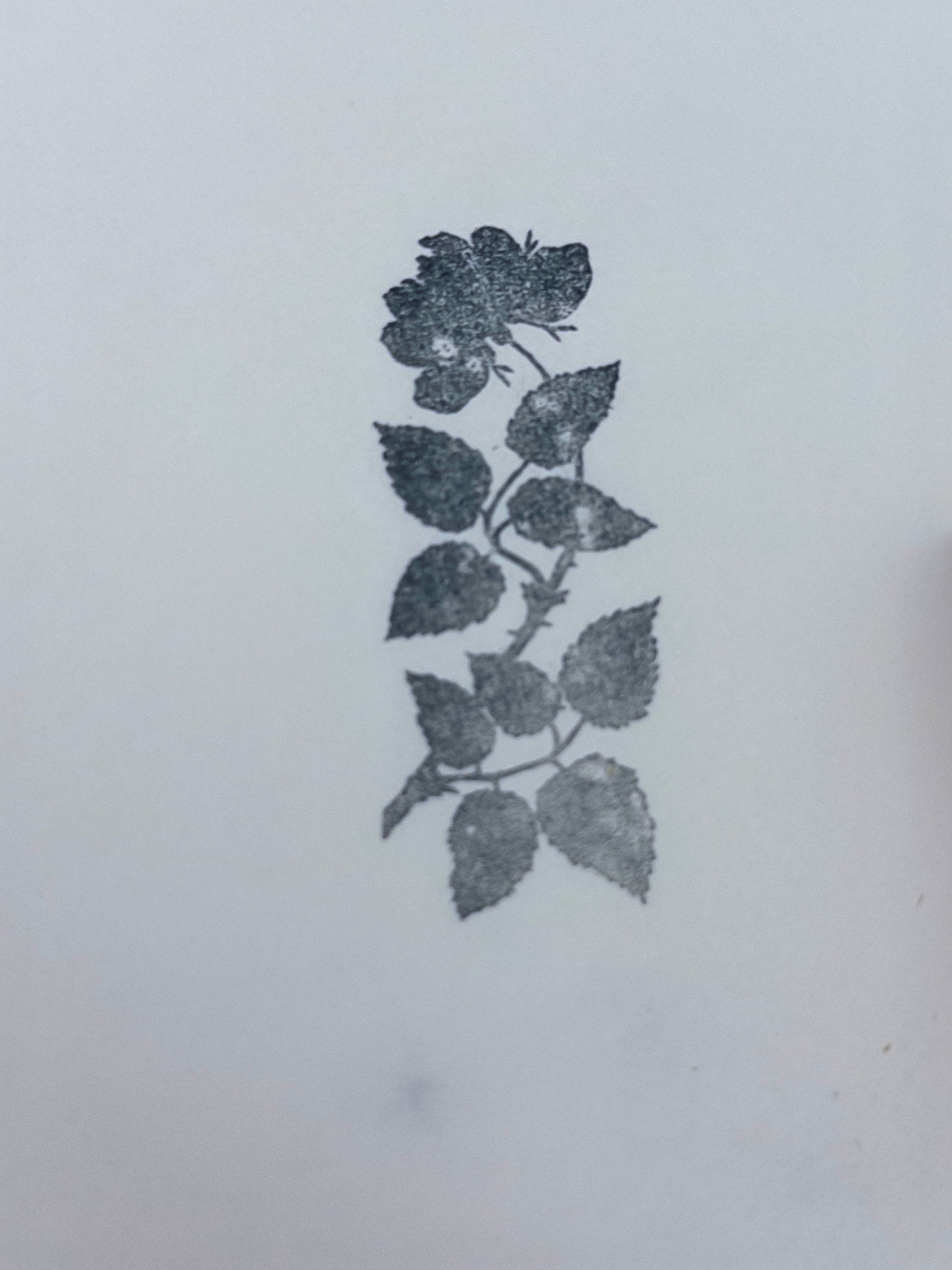 Rose Branch Stamp