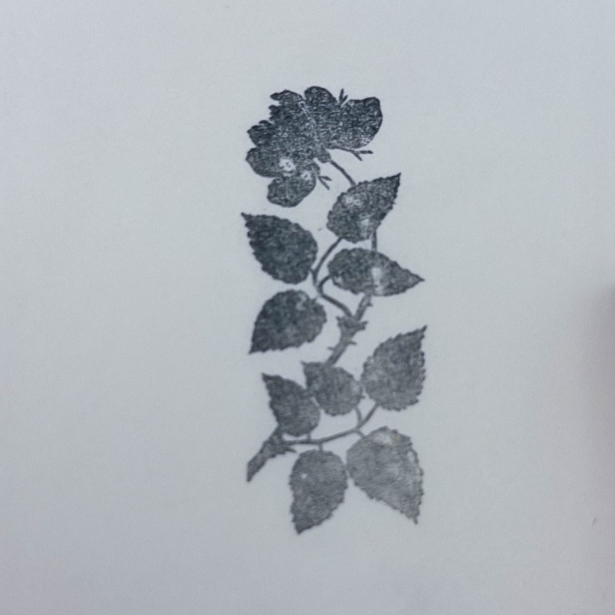 Rose Branch Stamp
