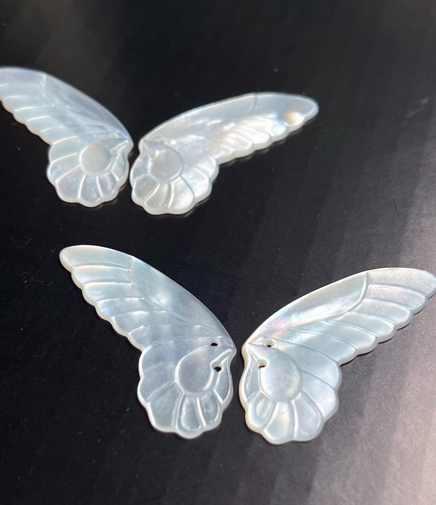 White deep sea shell butterfly wings