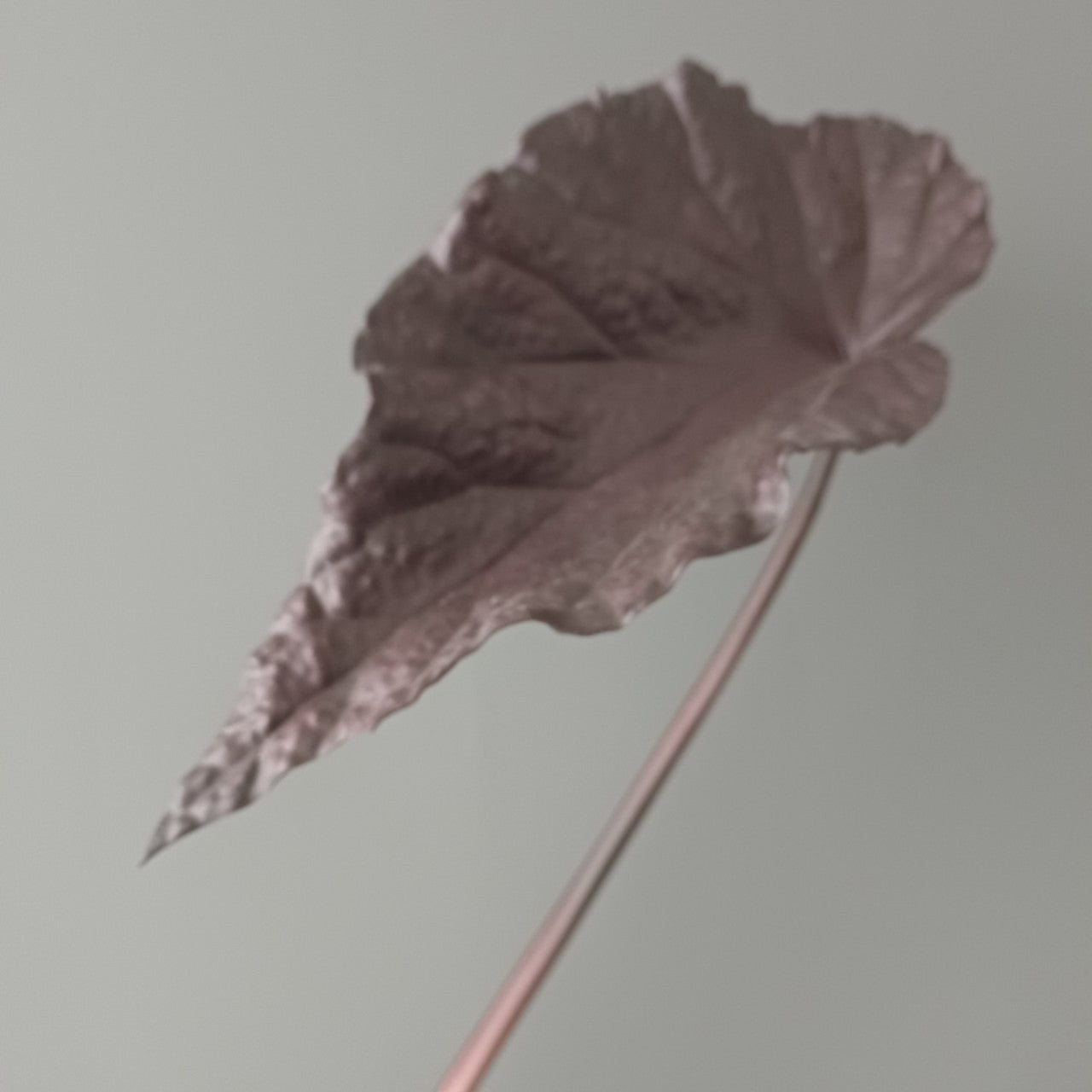 3D Print PU Autumn Begonia Leaves