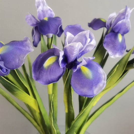 3D print simulation of PU iris orchid