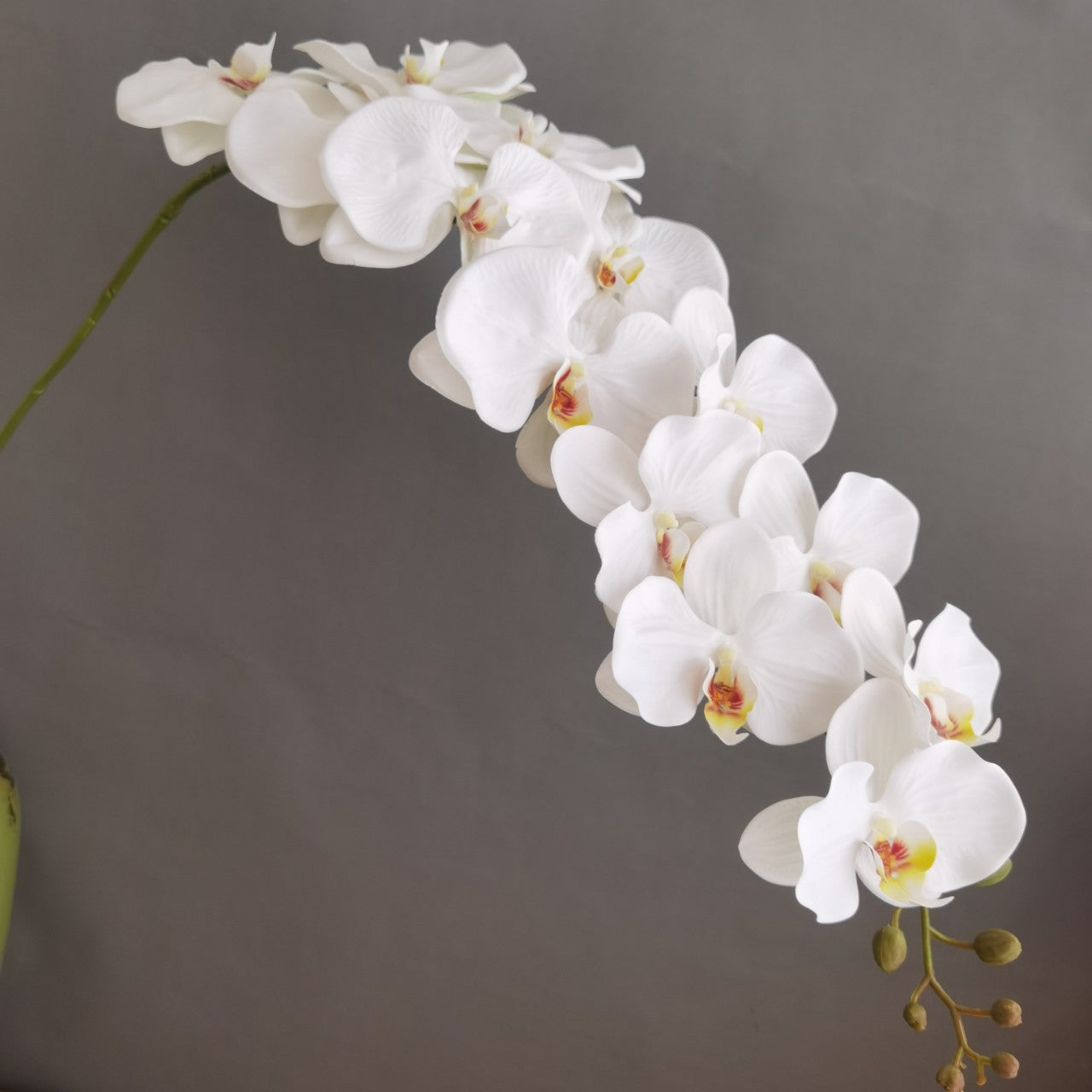 3D print simulates the feel of 13 large phalaenopsis