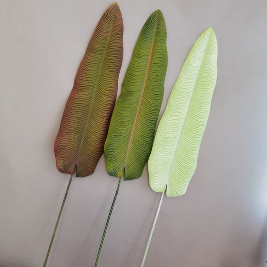 3D print simulation of plant soft rubber, flamingo king leaves, paradise bird leaves