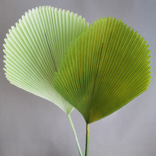 3D printSimulated plant leaves, palm leaves, palm leaves, palm leaves