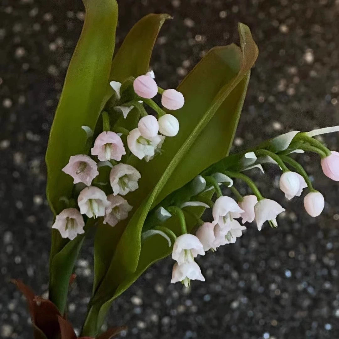 Handmade lily of the valley wax scented candle gift box