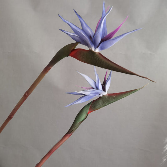 3D print bird crane orchid in Xintiantang