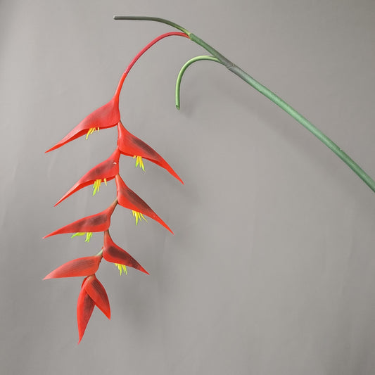 3D print simulation of flowers, soft rubber, long branches, scorpion tailed banana, rich and noble bird, hanging bird, hanging bird, hanging bird, hanging bird